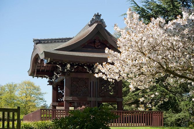 Kew Gardens Entrance Ticket - Outdoor garden favorites: Azaleas, bamboo, and the Holly Walk mood
