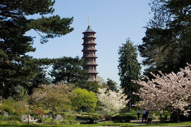 Kew Gardens Entrance Ticket - Your best 3 to 4 hour plan across 326 acres