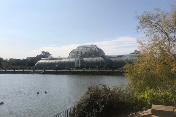 Kew Gardens, Richmond - Self-Guided Audio Tour - The Hive: bees take over your attention