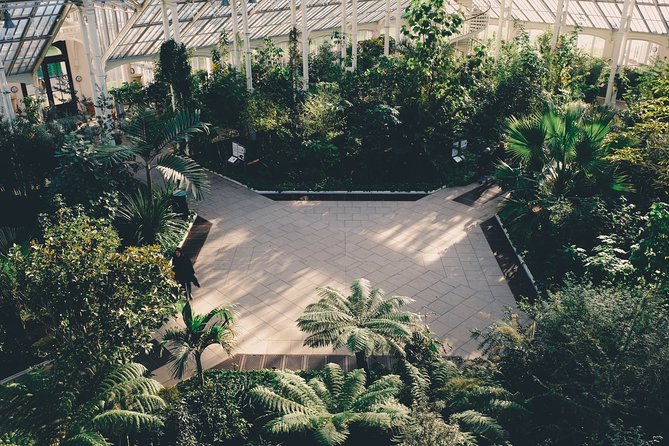 Kew Gardens, Richmond - Self-Guided Audio Tour - Temperate House: the big Victorian glasshouse moment