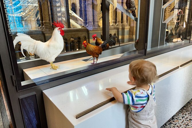 Kid-Friendly Natural History Museum & Dinosaurs Private Guided Tour in London - Pacing and Breaks: The Real Secret to Enjoying 2.5 Hours