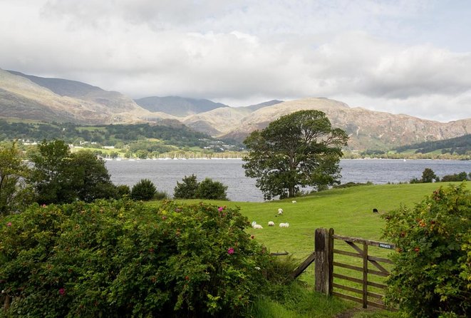 Lakes & mountains, spectacular scenery with an easy short walk - Monk Coniston and Brantwood: Coniston Water photos from every good angle