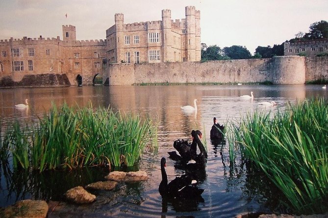 Leeds Castle, Canterbury and White Cliffs of Dover - Driver Guide - Price and value: what you pay per group, plus entrance fees that you should budget now