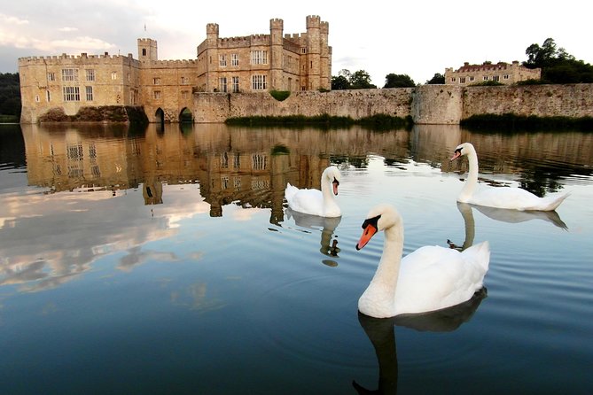 Leeds Castle, Canterbury, Dover & Greenwich Cruise from London - White Cliffs of Dover: A Quick Stop That Gains Meaning From the Stories