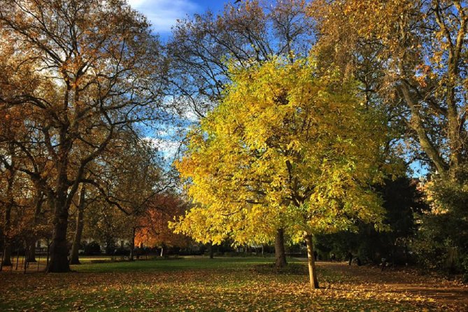 London Literary Private Walking Tour Of Bloomsbury - Bloomsbury on Foot, With Pickup That Actually Helps