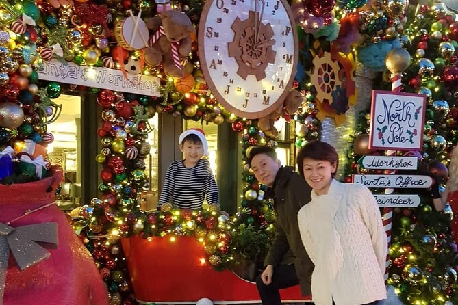 London Private Christmas Lights Taxi Tour with Pick Up - Who This Tour Suits Best