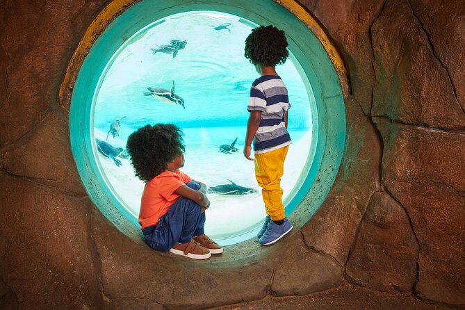 London Zoo Entry Ticket - Into Africa and Gorilla Kingdom: finish strong with the big species