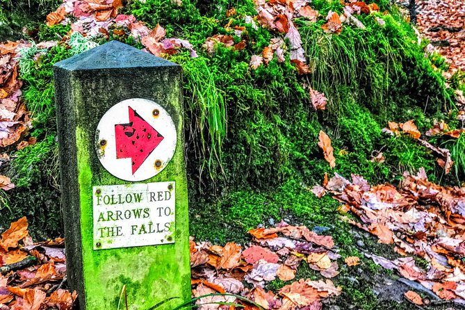 MANCHESTER: Lake District Adventure - Sightseeing Day Trip Tour - Blea Tarn: the best payoff for your legs and your camera