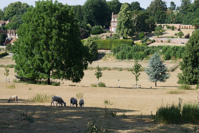 Midsomer Murders Tour from London - Price and value: what you are actually paying for