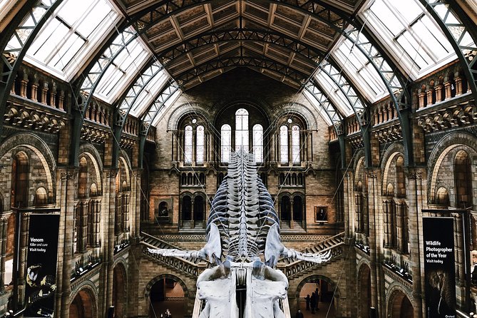 Natural History Museum London - Exclusive Guided Museum Tour - Meeting at Cromwell Road and making the 2-hour pace work