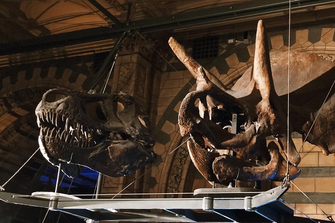 Natural History Museum London - Exclusive Guided Museum Tour - Archaeopteryx and Sophie the Stegosaurus, the dinosaur-to-bird connection