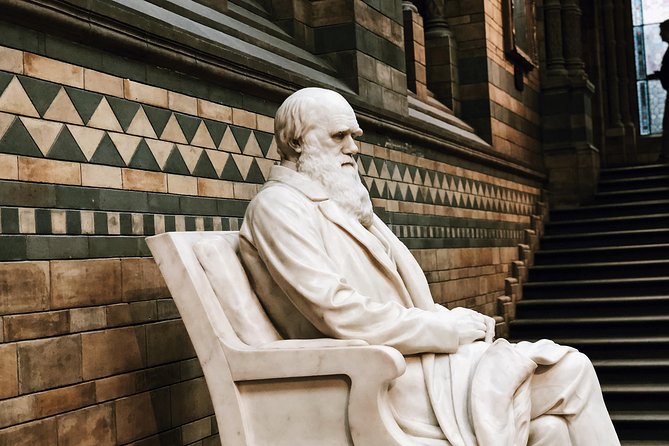 Natural History Museum London - Exclusive Guided Museum Tour - Fossils, casts, and the museum’s oddest specimens