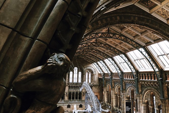 Natural History Museum London - Exclusive Guided Museum Tour - Rare plants and the Giant Sequoia slice you can almost feel
