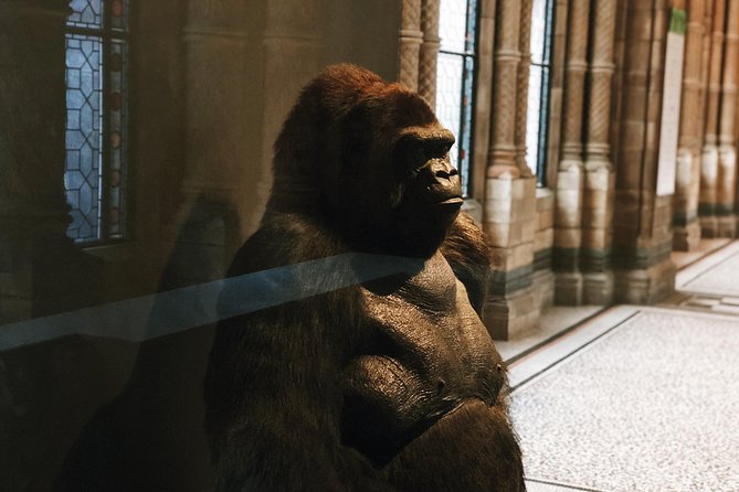 Natural History Museum London - Exclusive Guided Museum Tour - What you will not get in a 2-hour highlights loop