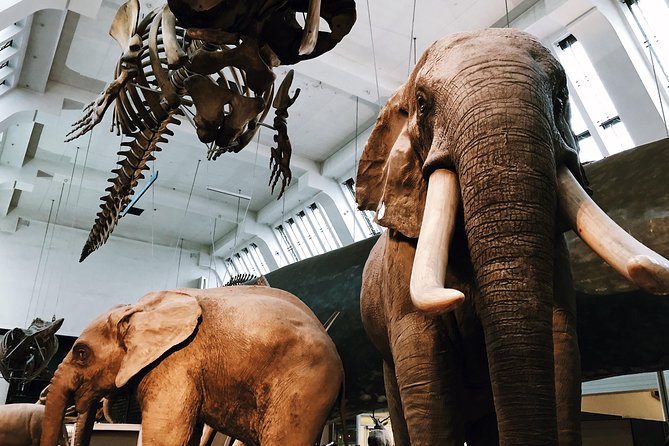 Natural History Museum London - Exclusive Guided Museum Tour - Price and value: what $108.49 per person is really buying