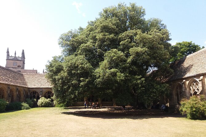 New College Oxford Harry Potter Insights PRIVATE TOUR Daily - The practical Oxford details that make the day easier