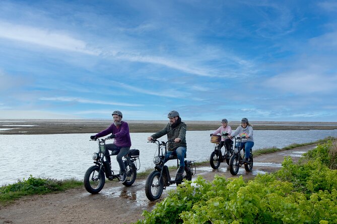 New Forest E-Bike Adventure - Key highlights you will actually use