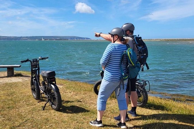 New Forest E-Bike Adventure - Wildlife encounters: ponies, deer, cattle, and birds
