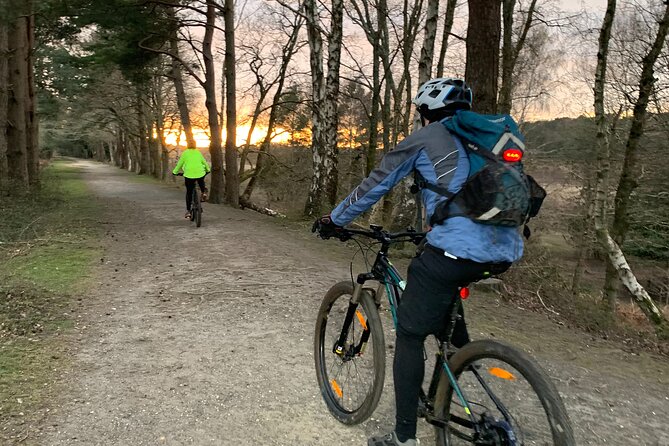 New Forest Sunset Bike Rides - Why the New Forest at sunset feels different