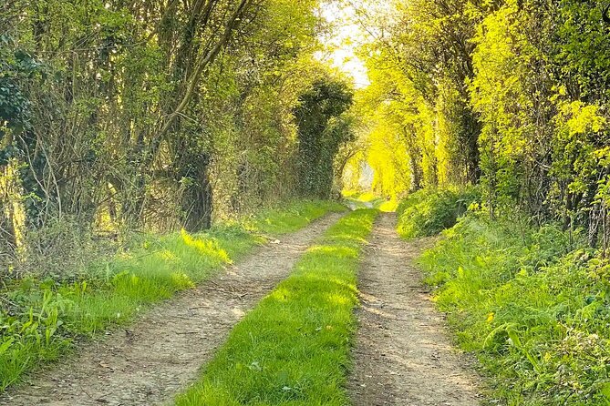 One Day Tour from London to The Cotswolds - Bourton-on-the-Water: River Windrush Walks and Lunch on Your Schedule