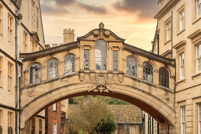 Oxford Walking Tour - Discover its University and Traditions - The Divinity School and Blackwell’s Bookshop for the classic Oxford mood
