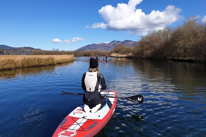 Paddle Boarding on Derwent Water - Derwent Water Paddling: Views, Wildlife, and the Wind Factor