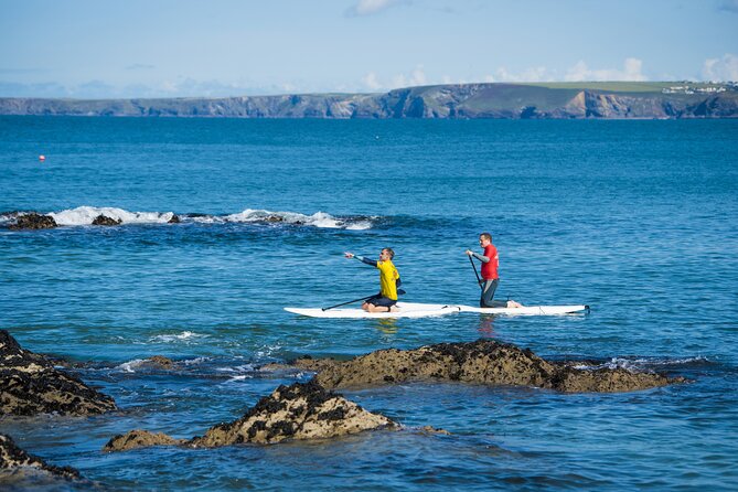 Paddleboarding Around Newquay's Coastline - Wildlife and local history moments you might catch from the water