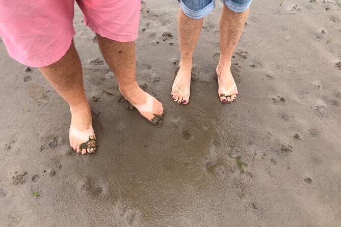 Pilgrims' Path walk across the sands to Holy Island - Key things to know before you walk the sands