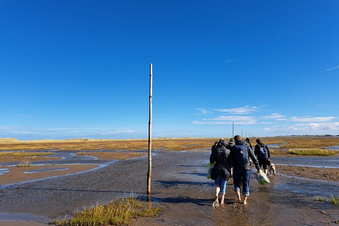 Pilgrims' Path walk across the sands to Holy Island - Lindisfarne Priory stop: panoramic views and short, well-timed sightseeing