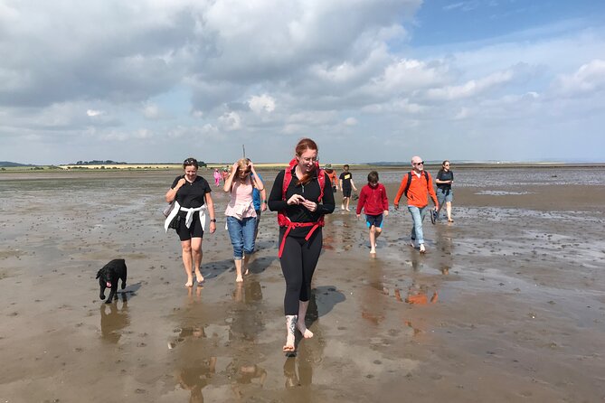 Pilgrims' Path walk across the sands to Holy Island - Price and value: why $40.24 can feel fair for what you get
