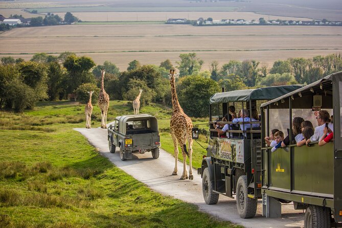 Port Lympne Day Ticket - Key highlights worth knowing before you go