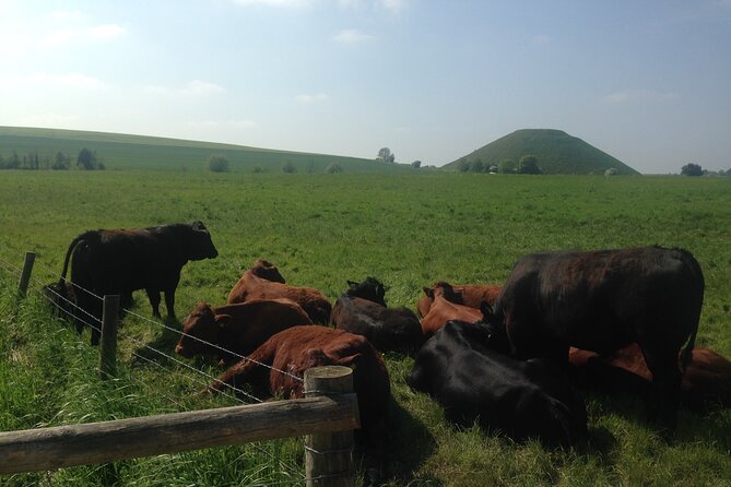 Private Archaeologist Guided Tour Stonehenge, Salisbury & Avebury - Alton Barnes White Horse: quick legs, strong pay-off