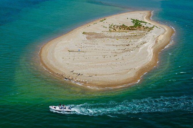 Private Boat Sightseeing Tour along The North Norfolk Coast - Champagne sunset, from mooring pause to glowing return