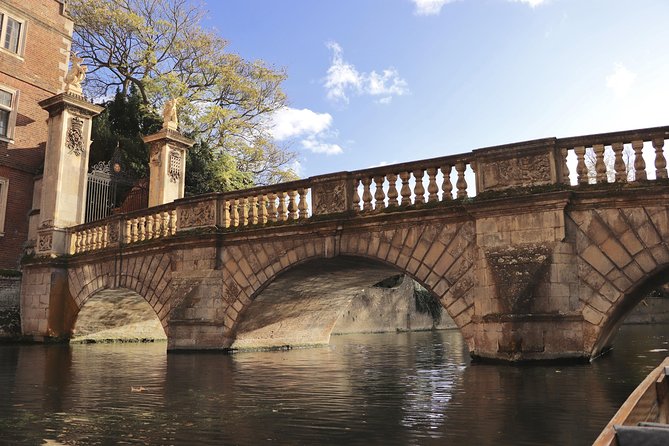 Private Chauffeur Punt Tour - Trinity Bridge to Wren Library, Then Clare Gardens