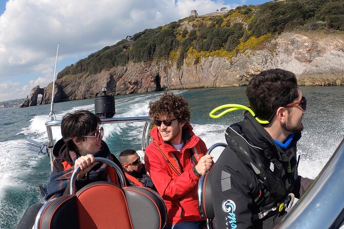 Private Coastal Boat Tour in Torquay - Seals, Geology, and Local Storytelling Along the Way