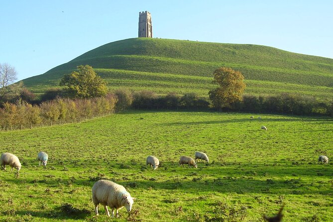 Private Day Tour from Bath to Glastonbury and Wells with Pickup - Guide-led value: small group pacing and real-world flexibility