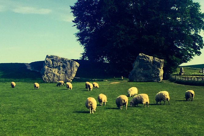 Private Day Tour to Bath, Avebury & The Cotswolds - Castle Combe: ending the day in a quieter Cotswolds pocket