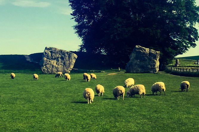 Private Day Tour to Bath, Avebury & The Cotswolds - What makes the private format feel different