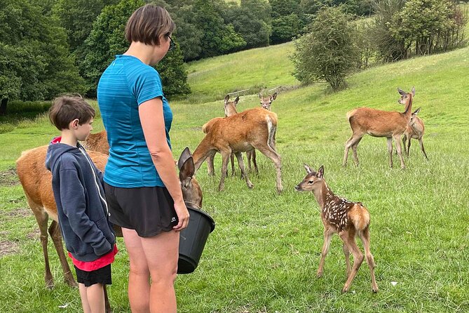 Private Deer Park Tour and Day Out in Leek - What the tour feels like, from start to finish
