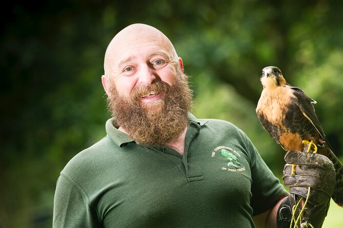 Private Family Bird of Prey Experience in Carlisle - Key highlights worth knowing