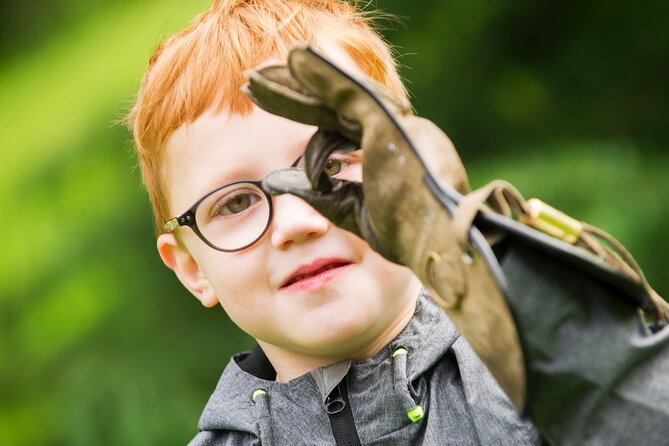 Private Family Bird of Prey Experience in Carlisle - The Carlisle countryside feel, and what it means for your visit