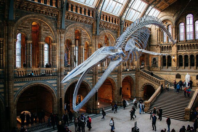 Private Guided Tour of Natural History Museum - Skip the Line - Key highlights worth your attention