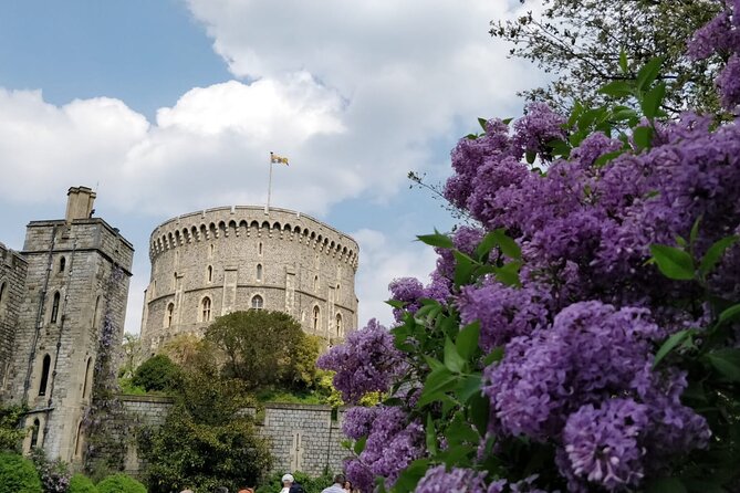 Private Guided Tour of Windsor Castle PLUS and History - River Thames and Eton College views, plus quick wildlife spotting