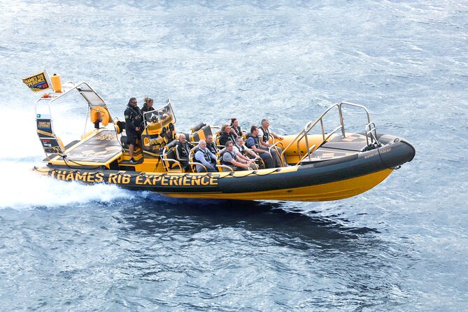 PRIVATE HIRE 45 min Speedboat Tour - Embankment/Westminster Pier - Tower Bridge, the Tower of London zone, and a Thames viewpoint you miss