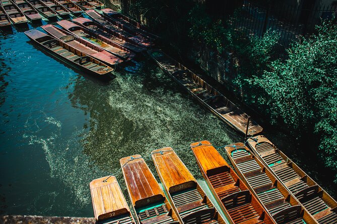 Private | Oxford University Punting Tour - River Cherwell in Motion: What the 30 Minutes Covers