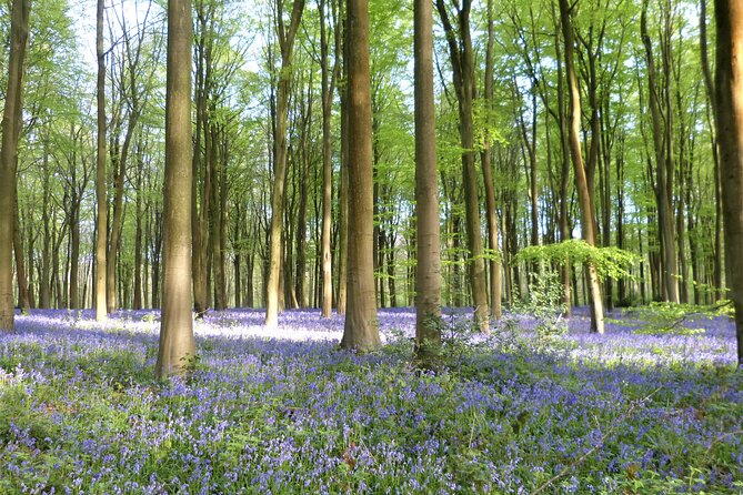 Private Tour of Quintessential Wiltshire and Cotswold Villages - The Vale of Pewsey Drive: A Photo-Friendly Way to See the Countryside