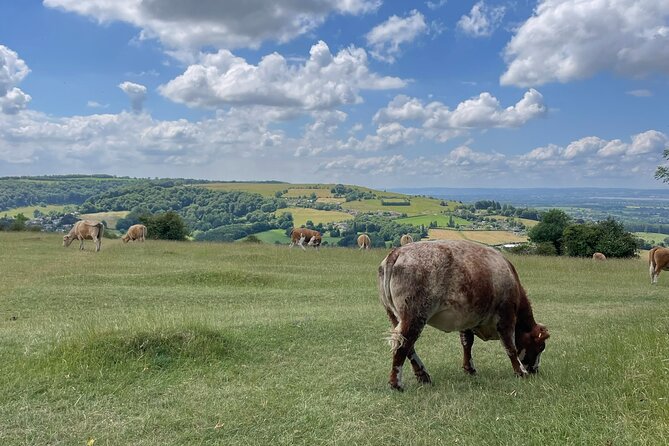 Private tour of the stunning Cotswolds with an expert local guide - Price and value: what you’re really paying for