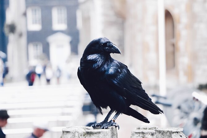 Private Tour: The Iconic Tower of London - Price and Value for a 2.5 Hour Private Tour