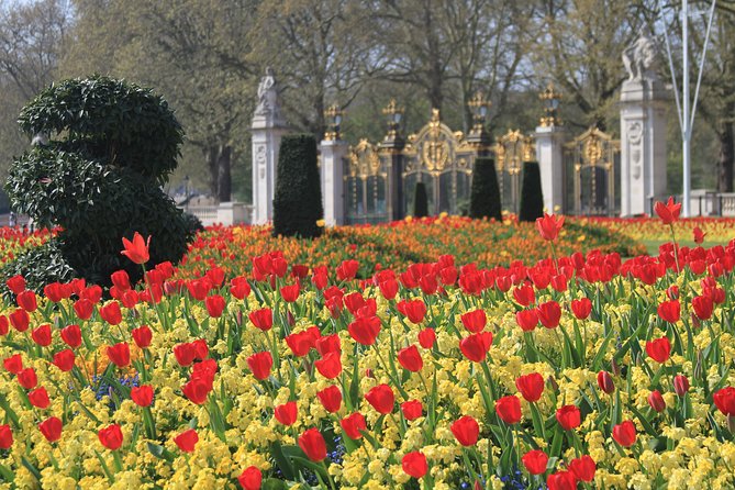 Private Walking tour London, Buckingham Palace to Big Ben and much more - The Mall to St James’s Palace: regal streets and Royal Warrant stories