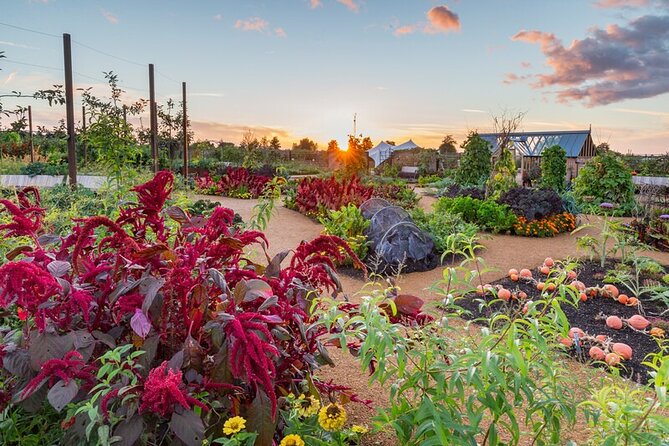 RHS Garden Wisley Entry Ticket - RHS Garden Wisley, what you are really buying